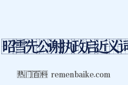 昭雪先公谢执政启近义词是什么意思的图片